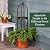 Evergreen 7 Feet Garden Metal Garden Obelisk Trellis for Climbing Plants Outdoor | Indoor Plant Trellis for Potted Plants | Floral Pattern Arch Trellis | Antique Copper