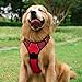 rabbitgoo Hundegeschirr Mittelgroße Hunde, Anti Zug Geschirr mit Kontrolle, No Pull Verstellbar Hundegeschirr Grosse Hunde, Atmungsaktiv Reflexstreifen Brustgeschirr Sichere Führung Rot L