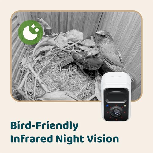 Smart Bird House with Camera, Auto-Record Nesting Stages & Alerts - image 8