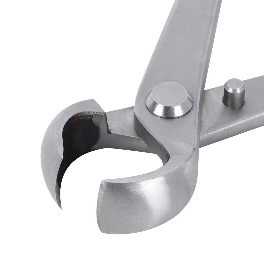 Stainless Steel Concave Bonsai Branch Pruning Shear Scissors 180mm Knob Cutter for Garden with Comfortable Handle Exquisite Workmanship Small Size for Pruning Branches - Image 3