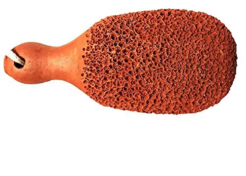 Image of TrendEvo Terracotta Natural Pumice Stone Foot Scrubber Unisex