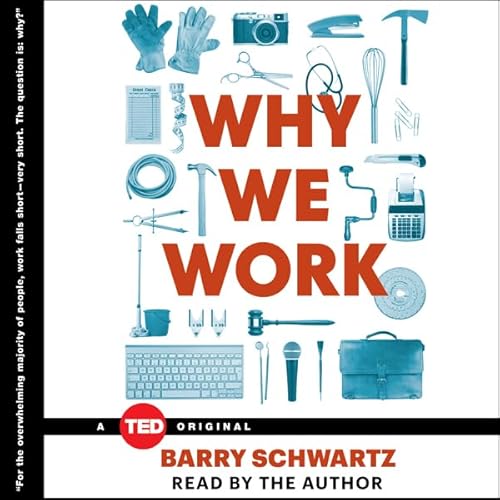 Why We Work Audiobook By Barry Schwartz cover art