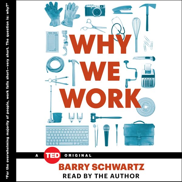 Cover art for Why We Work