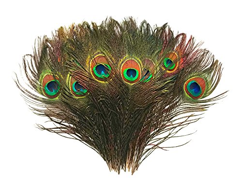 Moonlight Feather | 100 Pieces - Natural Peacock Tail Feathers Wholesale Supplier For Costume, Halloween, Carnival, Wedding Centerpiece #TOP4
