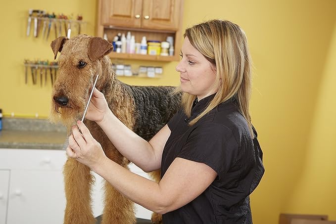 Image of Andis Professional Stainless Steel Pet Grooming Comb