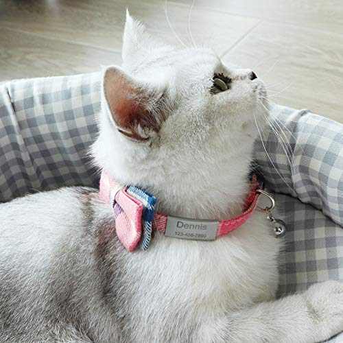 TagME Katzen halsbänder mit Namen und Telefonnummer Auf, Kätzchenhalsband mit Sicherheits Verschluss und Glöckchen,Rosa 1er Pack