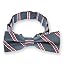 Denim Blue Melvin Stripe