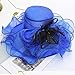 Fashion Hat for Women Large Wide Brim Kentucky Organza Derby Hats Ladies Tea Party Wedding Fascinator Vintage Fedoras