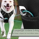 No Pull Hundegeschirr, Verstellbar Atmungsaktiv Reflektierend Weich Gepolstert Hunde Geschirr, Brustgeschirr für Hunde (Grau, L)