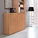 Produktbild Pharao24 Aktenordnerschrank in Buche 2 türig
