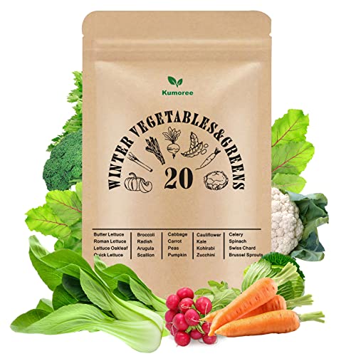 Heirloom Vegetable Seeds, All Organic 6900+ Seeds Kit, 20 Varieties Vegetable Seeds For Planting Home Garden, 100% Non-Gmo Homesteading, Broccoli Lettuce Spinach Carrot Swiss Chard Kale Etc #TOP10