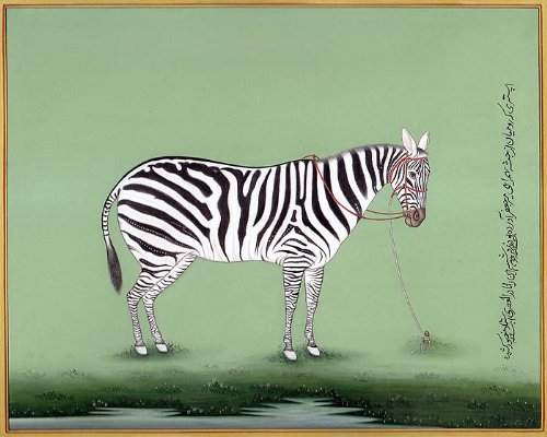 Aquarelle sur papier zèbre Kailash Raj | Tableau art Exotic India