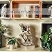 Iemegumi The Thinker Statue Abstract Art Sculpture - Resin Statue in Premium Cold Cast Bronze - 11.8 Inch Museum Grade Top Collectible Figurine - Large Decoration for Home Office Desk Shelf Gifts