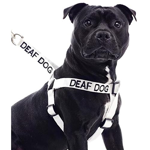 Deaf Dog White Color Coded L-XL Non pull Dog Harness Prevents Accidents By Warning Others of Your Dog in Advance