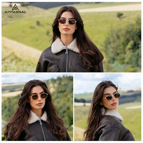 Retro Oval Sunglasses for Women Y2k 90s Sunnies Trendy Narrow Small Metal Sun Glasses AP37262