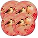 Range Kleen 5043 Winter Bird Burner Kovers Set of 4