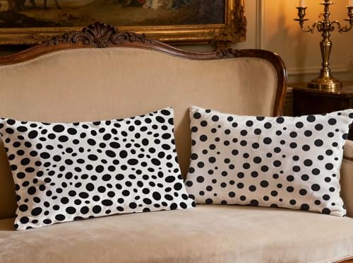 Housse de coussin grand format 80x100 rectangulaire lot de 2 velours