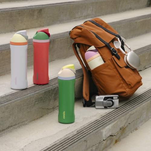 Image of Owala FreeSip Insulated Stainless Steel Water Bottle with Straw for Sports and Travel, BPA-Free, 24oz, Dreamy Field