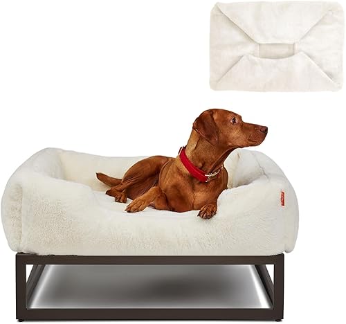 Miniatura 26 de FUZI Cama elevada para perro pequeña, camas elevadas de lujo, funda de cama extraíble y lavable a máquina, cama ortopédica para interiores y Gris