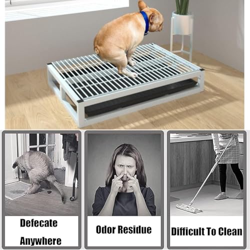 Toilettes pour chien intérieur extérieur avec support portable