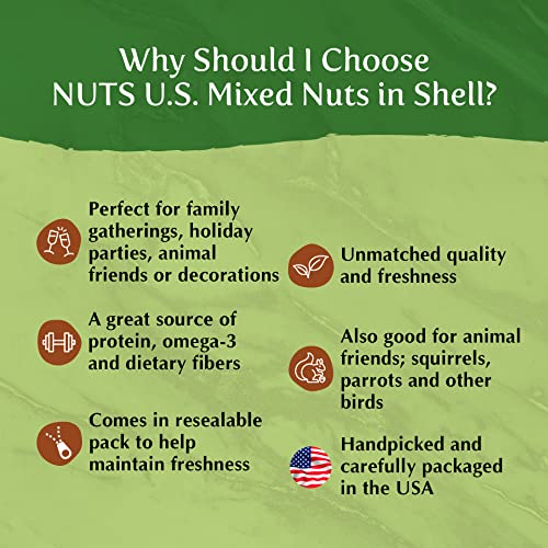 image for NUTS - U.S. - HEALTH IN EVERY BITE ! NUTS U.S. – Mixed Nuts In Shell