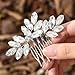 Catery Crystal Bride Wedding Hair Comb Hair Accessories with Rhinestone Bridal Side Combs for Women and Girls (A-SILVER)