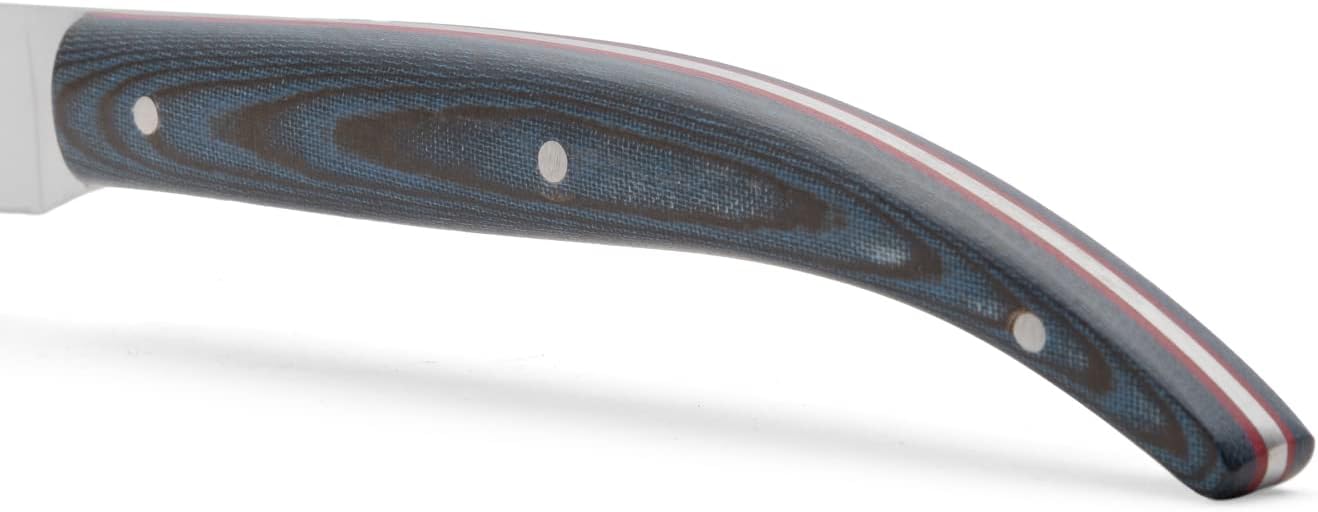 Arcos Steak Knife in Nitrum Stainless Steel. 4 Inch Non Serrated Steak and Meat Knife. Phelonic Blue Handle. The Origin Series