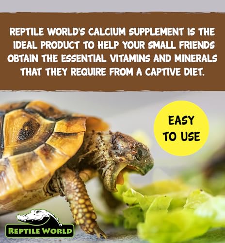 Reptile World Calcium 100g Pouch | Calcium Supplement for Tortoises and Bearded Dragons - Image 4