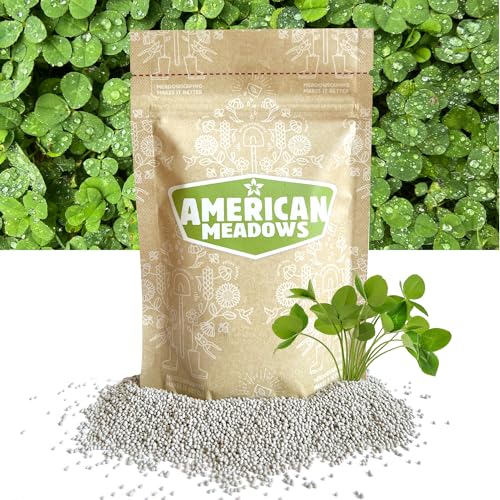 American Meadows Microclover Seed - Specially Blended Lawn Alternative, Low Maintenance, Great Ground Cover, Durable for High Traffic Areas, Drought Tolerant, Grass Alternative (1/2 lb.)