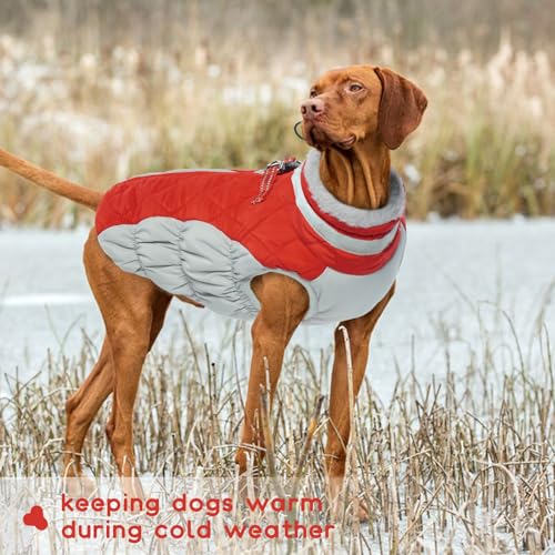 Hundejacke Winter, Hundepullover Mittelgroße Hunde Winterjacke Hund Wasserdicht Hundepullover Hundejacke Fleece Hundebekleidung Winter(Rot, M)