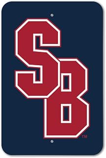Stony Brook University Secondary Logo Home Business Office Sign - Plastic - 6" x 9" (15.3cm x 22.9cm)