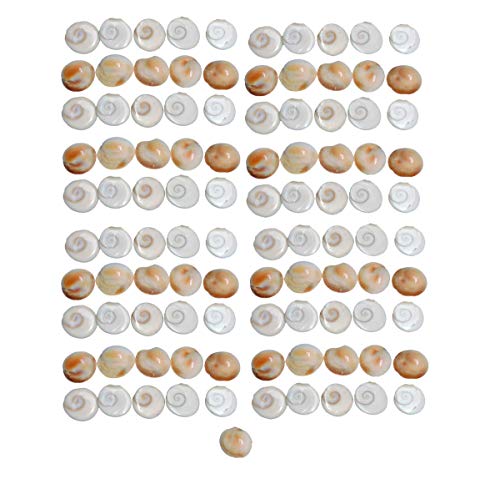 Saptraag Original & Authentic Gomati Chakra (108 Pcs, 1cm) | Energized for Lakshmi Puja, Vastu, Prosperity & Home Protection | Spiritual Benefits | Ideal for Home & Office | Small Gomti