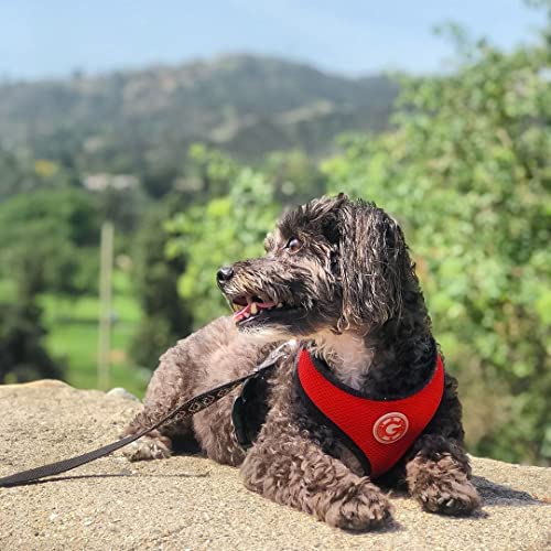 Gooby - Arreio de malha macia, peitoral para cães pequenos com malha respirável, vermelho, grande