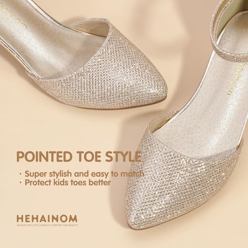 Image of Hehainom Girls Dress Shoes Chunky High Heels Ankle Strap Pumps