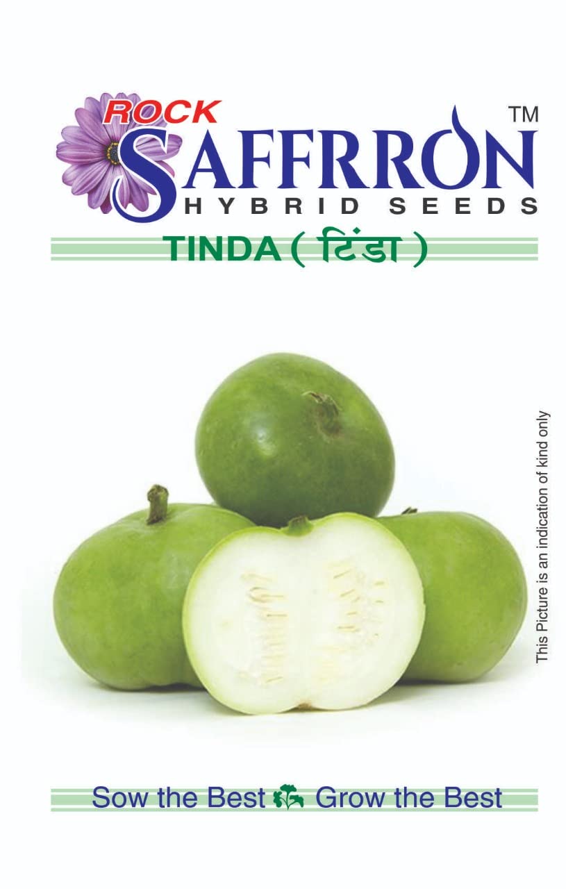 Rock Saffrron Hybrid Seeds Tinda Seeds (B0BRNM6QR5) Amazon Price History, Amazon Price Tracker