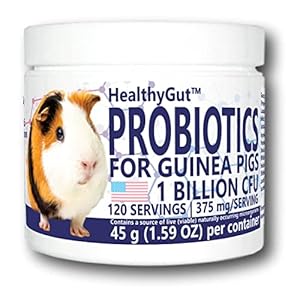 Equa Holistics HealthyGut Probiotics for Guinea Pigs Dietary Supplement All Natural Digestive System Formula 120 Servings