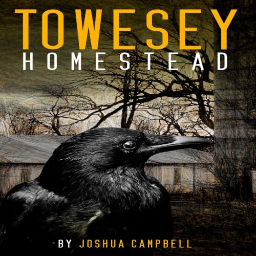 Diseño de la portada del título Towesey Homestead