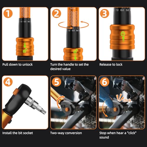 Image of ss shovan 1 /4 Torque Wrench with 72-Tooth Click Type, Inch Pound Torque Wrench with Dual Scale 30-220 in-lb (3.3-24.7 Nm), Bike Torque Wrench Set for MTB, Bicycle Maintenance (33 Pcs)