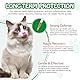 Natürliche Antibiotika für Katzen, Antibiotika für Katzen, Antibiotika Katze Blasenentzündung, Supports Immune & Cats Allergy Itch Relief, Health Supplies Cat UTI Antibiotics, 60ml (1PC)