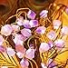 BOHON Decorative Lights Plus Amethyst LED String Lights Battery Operated with Remote 10 ft 30 LEDs Natural Crystal String Lights for Bedroom Party Indoor Birthday Wedding Decor(Plus)