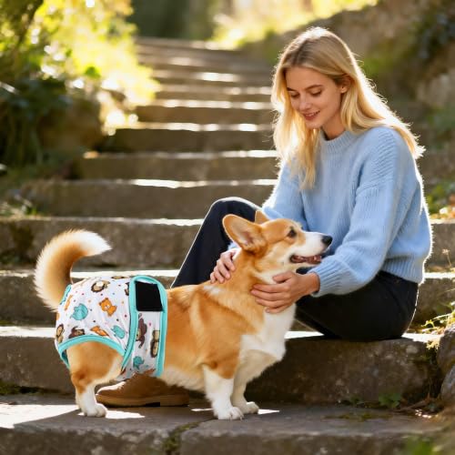 Image of Washable Reusable Female Dog Diapers(5 Pack) Small Medium Large Doggie Puppy & Doggy Dog Diaper, Period Panties in Heat Animals Small