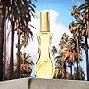 Giorgio Beverly Hills Women's Perfume, Eau De Toilette EDT Spray, 3 Fl Oz