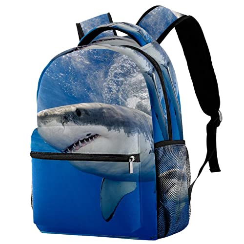 Sacs à dos légers Requin pour porter les livres sans effort à l'école