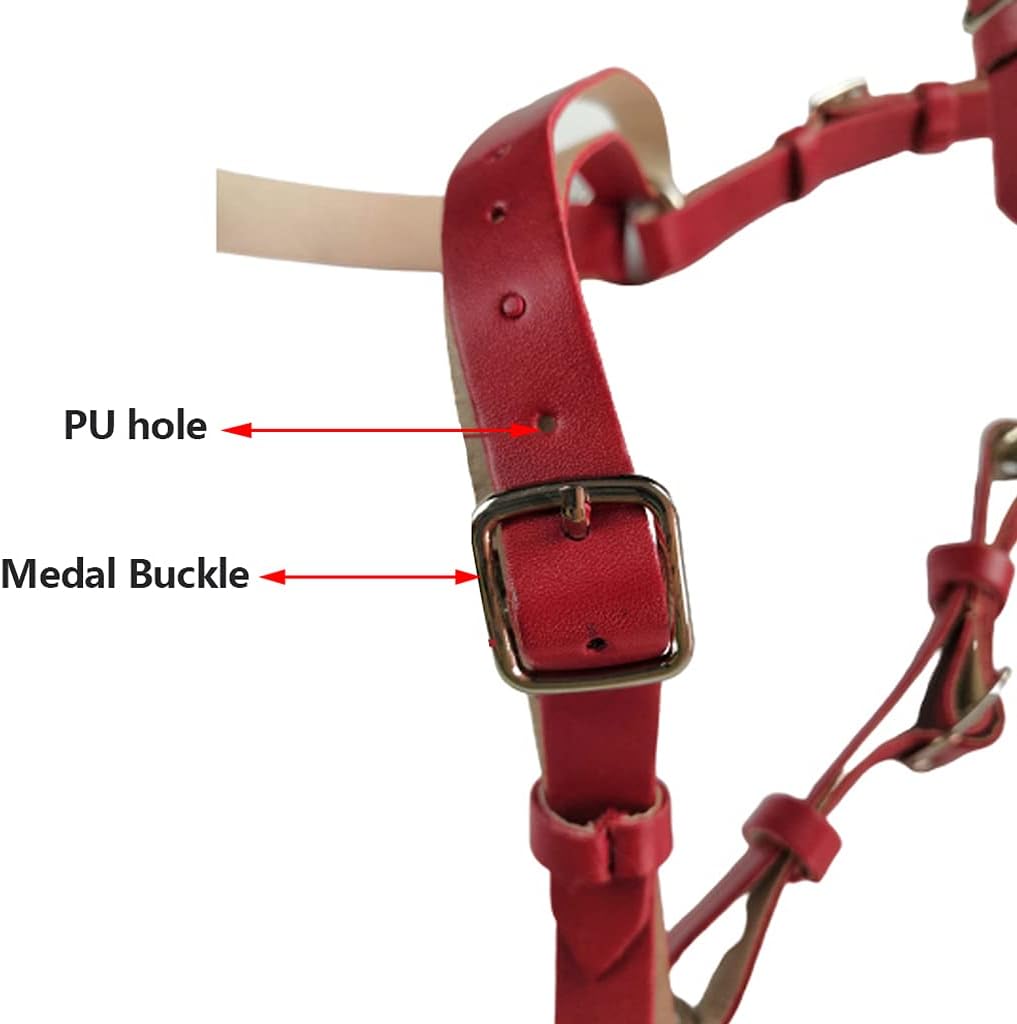 Metal Leather Horse Head Collar, Soft Comfortable Horse Reins with Adjustable Strap for Training and Riding Draft Horses, Practical Equestrian Accessories,Black : Sports & Outdoors