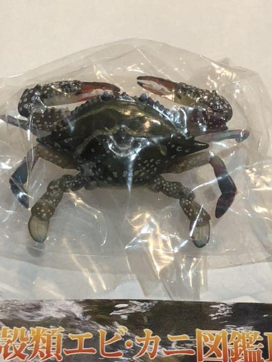 原色甲殻類エビ・カニ図鑑I コンプリート専用ケース、ミニブック付き