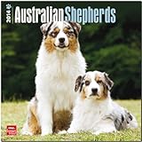  Australian Shepherds 2014 - Australische Schäferhunde: Original BrownTrout-Kalender [Mehrsprachig] [Kalender] (Wall-Kalender)