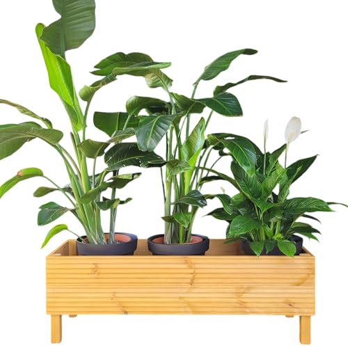 weeco Grande couverture de protection pour plantes en bois, jardinière décorative pour jardin et intérieur, parterre de fleurs surélevé, chêne clair, 115 x 39 x 41 cm