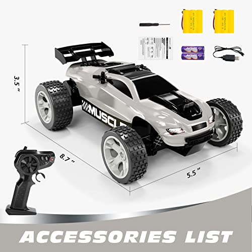 Tecnock RC Racing Car, 2.4Ghz High Speed Remote Control Car, 1:18 2WD Toy Cars Buggy for Boys & Girls with Two Rechargeable Batteries for Car, Gift for Kids(Silver)