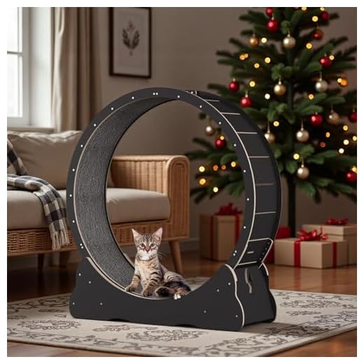 Effektives Fitnessgerät für Katzen-Training