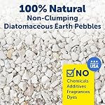 PetSafe ScoopFree Premium Natural Cat Litter, 2-Pack – 100% Natural Non-Clumping Cat Litter, 21+ Day Odor Control – No Chemicals, Additives, Dyes or Fragrances – Includes 2 Bags